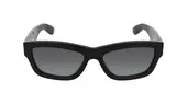 AM0419S-001 56-0