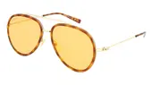 GG1981S-002 56-1