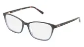TH 2295 WTA5316-1