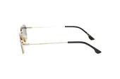 VB 1001/S RHL55IR-4