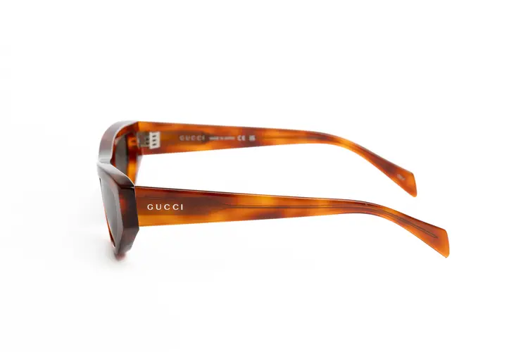 GG1919S-004 55-2
